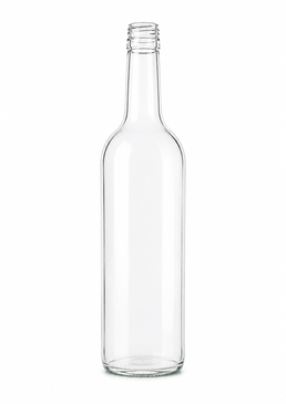 500ml Bergglas-Wasserflasche