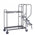 Order Picking Trolley with 2 Steel Shelves 300kg Capacity